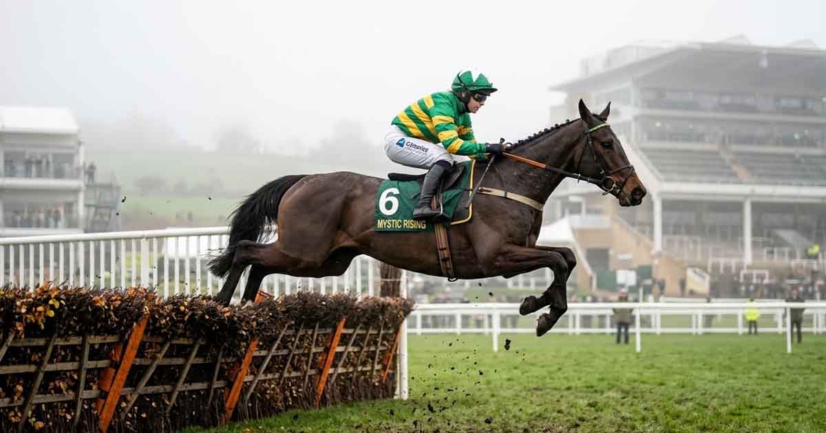 سباق الخيل: تشيلتنهام تستقبل الجيل الجديد من الأبطال في سباق الفروسية الأمامية